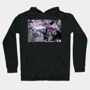 Purple coastal Flowers Hoodie